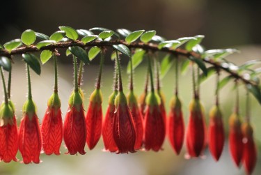 广州越秀私人快速借钱网，轻松解决资金难题