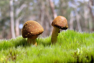 广州越秀私人老板放款：轻松融资的秘密通道